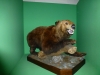 2013-05-04-10-37-52-P1010796