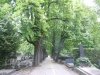 DSCN4629